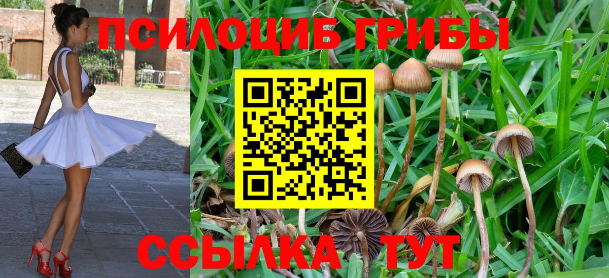 Галлюциногенные грибы Magic Shrooms Владивосток